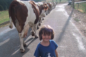 cheque cadeau ferme auberge